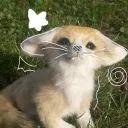 ๑Foxy๑