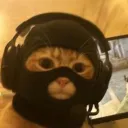 🤙🤙 Discord server icon