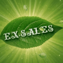 Ex.sales