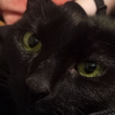 Behind the Scenes Discord server icon