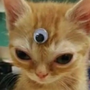 the treehouse Discord server icon