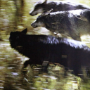 Moonbound Discord Server