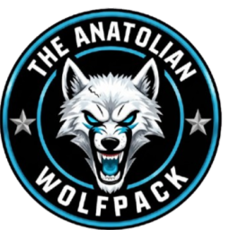 Discovery icon for The Anatolian WolfPack Gaming Community Discord server