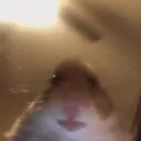 ストロングサーバー