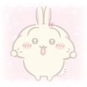 ₊˚๑ ﹕ƶⱺꭑᑲ𝗂𝗂'𝗌 ɦα𝗏𝖾𐓣 :