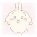 ₊˚๑ ﹕ƶⱺꭑᑲ𝗂𝗂'𝗌 ɦα𝗏𝖾𐓣 :