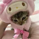 [MM] ʟᴀᴠ's ᴛʀᴀᴅɪɴɢ ʜᴜʙ Discord Server Icon