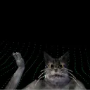 Kitcat_ac_community