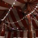 🎪*•𝚃𝙰𝙳𝙲 𝚁𝙿•*🎪