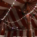 🎪*•𝚃𝙰𝙳𝙲 𝚁𝙿•*🎪