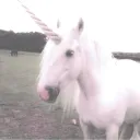 🦄 ┊ ⟡ ݁₊ .  unicorn palace  𓂃 ⁺˖ ⸝⸝