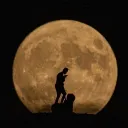 Egemenlik verilmez, Alınır. #DOLUNAY-avatar