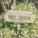 Nxszxyy's Garden
