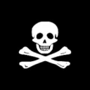 The Pirate Union