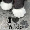 The Pawdo 🎄💗 Discord server icon