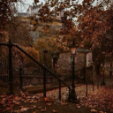 𝐅𝐚𝐥𝐥𝐞𝐧 𝐚𝐧𝐠𝐞𝐥𝐬 🍂 Discord server icon