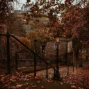 𝐅𝐚𝐥𝐥𝐞𝐧 𝐚𝐧𝐠𝐞𝐥𝐬 🍂