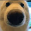 ⊂((・▽・))⊃~ԃσցցу ѕєяνєя σƒ яαηԃσмηєѕѕ~（○＾▽＾○）