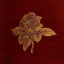 —𝐓𝐇𝐄 𝐒𝐂𝐀𝐑𝐋𝐄𝐓 𝐋𝐄𝐓𝐓𝐄𝐑🅰— discord icon