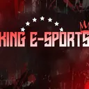 KING E-SPORTS 5c