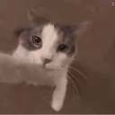 sıʙıᴅıᴋ