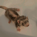 ♡C̶a̶n̶d̶y̶L̶a̶n̶d̶♡ 13+ Discord server icon