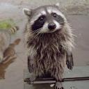 paces clothing group