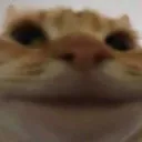 舐めやがって……gゲイリー