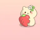 lily ౨ৎ's shop