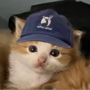 루꾸스 마켓 | 3호점