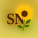 Server Icon