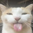 Cleemof's server Discord server icon