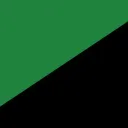 Rep. of the Tambov Partisan Region