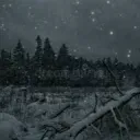 snow.dev