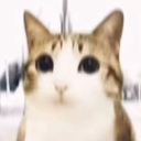 Null Discord server icon