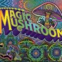 Magic  Mushroom 🍄