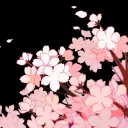 N.XS Discord server icon