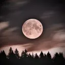 ࣪ ִֶָ☾. ᯓ 𝒜 ɴᴇᴠᴇʀ-ᴇɴᴅɪɴɢ ռɨɢɦȶ ༉‧₊˚.~ ᶻ𝗓𐰁