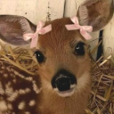 𐔌Safe little corner𐦯 Discord server icon