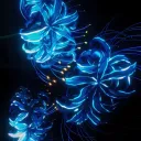 ✦ ѕнα∂σω ¢σяє ✦