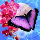 daria's orchid moon spa