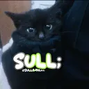 sull;