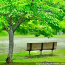 ゆったり広場 Discord server icon