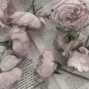 花﹐𝒉𝒂𝒏𝒂