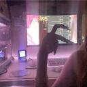 🧸Kia-kia cat cafe🧸