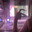 🧸Kia-kia cat cafe🧸