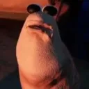 Paw’s Discord