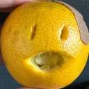 EightRoad's Neighborhood Banner