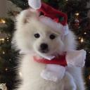  ̊ ༘ Debates of the Century· ̊ ༘