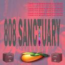 808 SANCTUARY 💻🩸